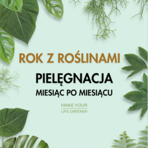 jak dbac o rosliny kwiaty domowe doniczkowe pielegnacja uprawa dbanie o rosliny kwiaty w domu wskazówki jak dbać pielegnowac o rosliny kwiaty domowe doniczkowe seozonwa pielęgnacja roslin miesiac po miesiacu latem wiosna zimą
