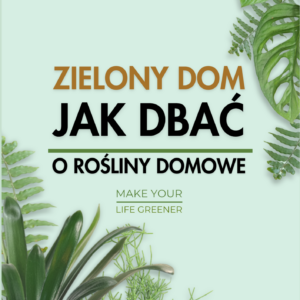 radzenie sobie z chorobami roślin przewodnik dla miłośników roślin Jak dbać o rośliny domowe Pielęgnacja kwiatów doniczkowych pielęgnacja roślin Jak pielęgnować rośliny w domu Nawożenie roślin wiosną Przesadzanie roślin doniczkowych Przycinanie kwiatów domowych Ochrona roślin przed szkodnikami
