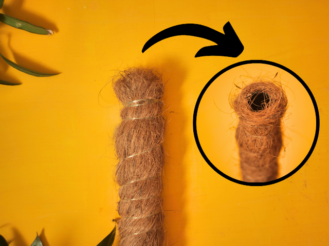 Jak przedłużyć palik kokosowy dla pnączy
Przedłużenie palika kokosowego do roślin pnących
Jak połączyć dwa paliki kokosowe
