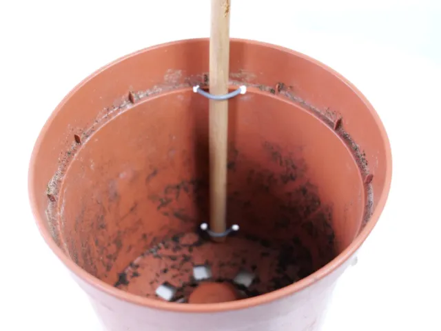 Jak zwiększyć stabilność palika kokosowego w doniczce