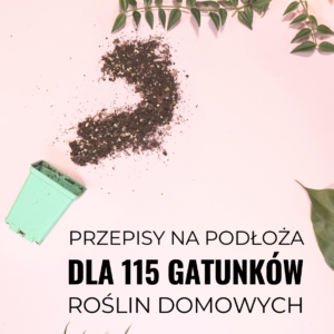jakie podłoże bigos dla roślin kwiatów domowych gotowe przepisy mieszanki podłoży
