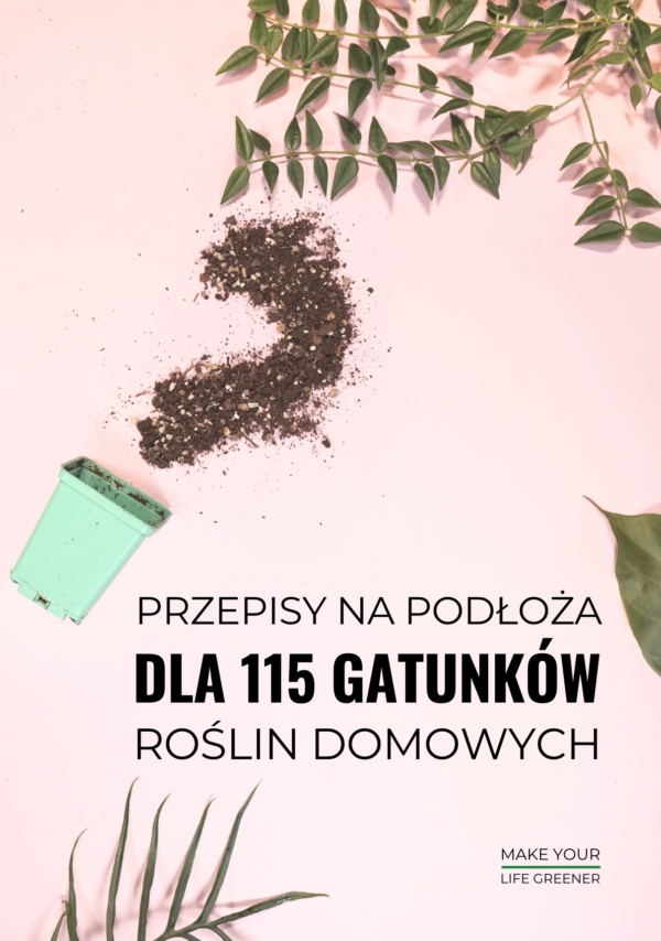 jakie podłoże bigos dla roślin kwiatów domowych gotowe przepisy mieszanki podłoży