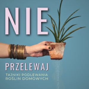 podlewanie roślin domowych jak podlewać rośliny doniczkowe najlepsze metody podlewania roślin częstość podlewania roślin wskazówki dotyczące podlewania roślin jak uniknąć przelania roślin jak ratować przesuszone rośliny podlewanie różnych gatunków roślin woda do podlewania roślin jak dostosować podlewanie do pór roku monitorowanie nawadniania roślin znaki niedoboru wody w roślinach jak dbać o wilgotność podłoża podlewanie kaktusów i sukulentów jak podlewać storczyki porady dla początkujących ogrodników co robić z roślinami, które żółkną najlepsze praktyki podlewania skuteczne techniki nawadniania