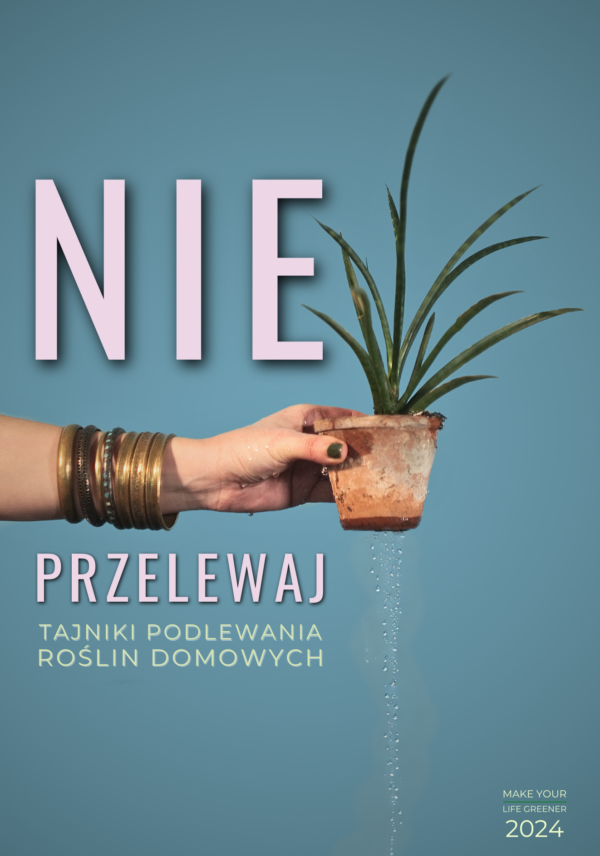 podlewanie roślin domowych jak podlewać rośliny doniczkowe najlepsze metody podlewania roślin częstość podlewania roślin wskazówki dotyczące podlewania roślin jak uniknąć przelania roślin jak ratować przesuszone rośliny podlewanie różnych gatunków roślin woda do podlewania roślin jak dostosować podlewanie do pór roku monitorowanie nawadniania roślin znaki niedoboru wody w roślinach jak dbać o wilgotność podłoża podlewanie kaktusów i sukulentów jak podlewać storczyki porady dla początkujących ogrodników co robić z roślinami, które żółkną najlepsze praktyki podlewania skuteczne techniki nawadniania