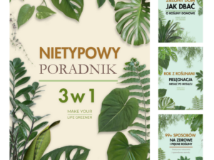 Jak dbac o rosliny domowe poradnik przewodnik ksiazka ebook