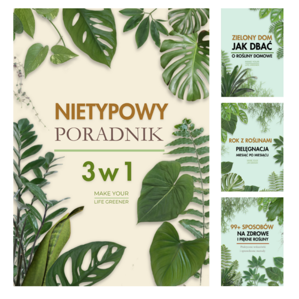 Jak dbac o rosliny domowe poradnik przewodnik ksiazka ebook