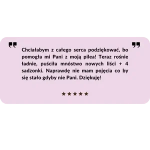 poradnik roslinny anna skorupska make your life greener opinia