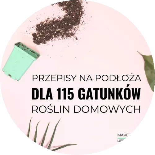 anna skorupska ksiażki ebooki poradniki sklep