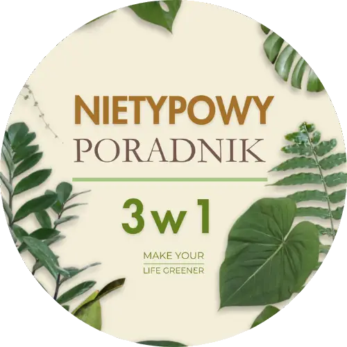 anna skorupska ksiażki ebooki poradniki sklep