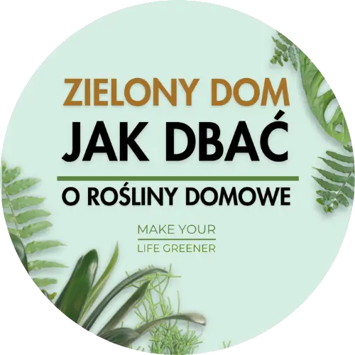 anna skorupska ksiażki ebooki poradniki sklep