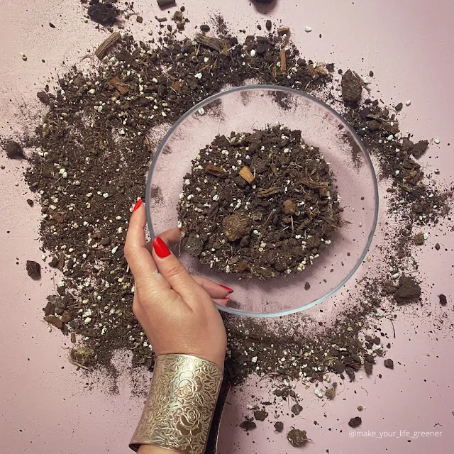 Jak odkazić ziemię dla roślin
Odkażanie ziemi do roślin doniczkowych
Wypiekanie ziemi do kwiatów
Sterylizacja podłoża roślinnego