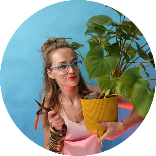 kontakt anna skorupska make your life greener