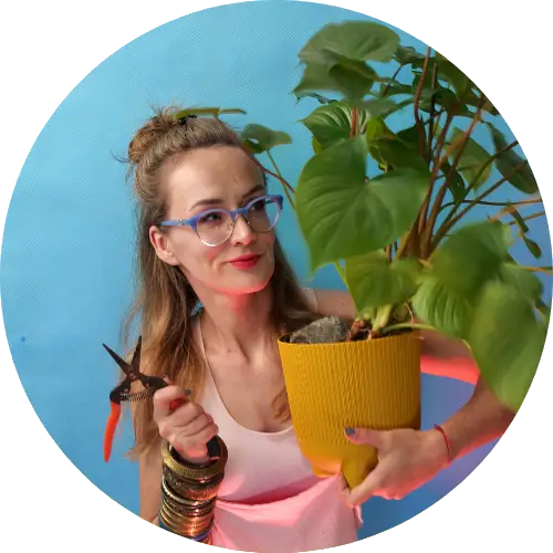 anna skorupska make your life greener sklep kontakt