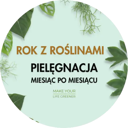 anna skorupska ksiażki ebooki poradniki sklep