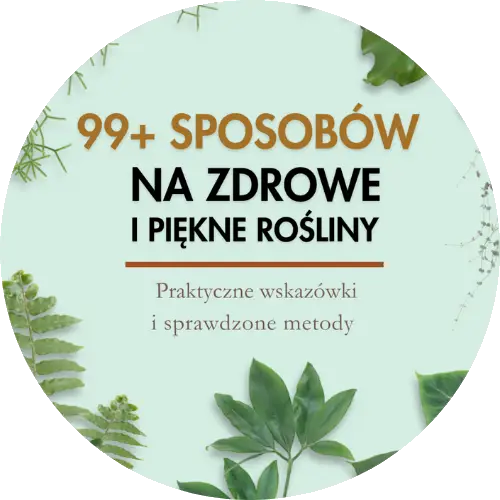 anna skorupska ksiażki ebooki poradniki sklep