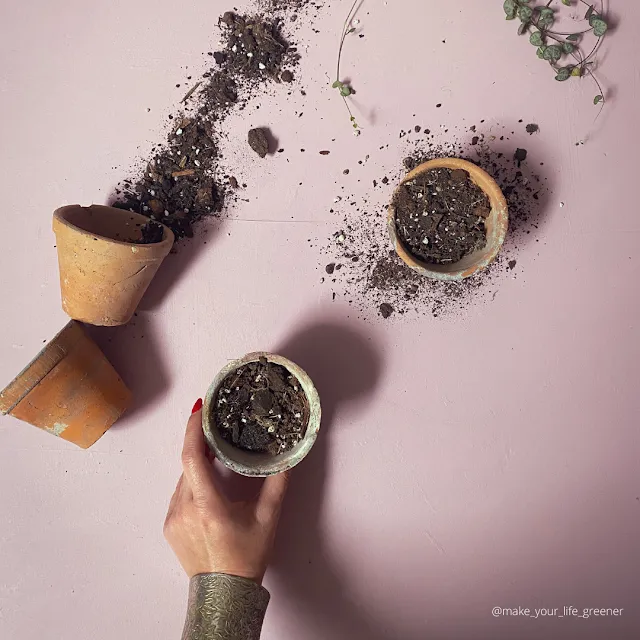 Odkażanie ziemi piekarnikiem
Jak wypiekać ziemię dla roślin
Odkażanie podłoża naturalnymi metodami