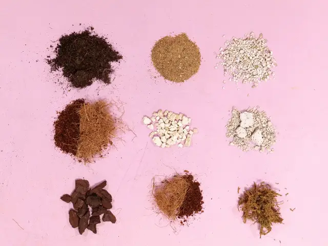 co dodać do podłoża dla monstery zamiokulkasa skrzydłokwiata