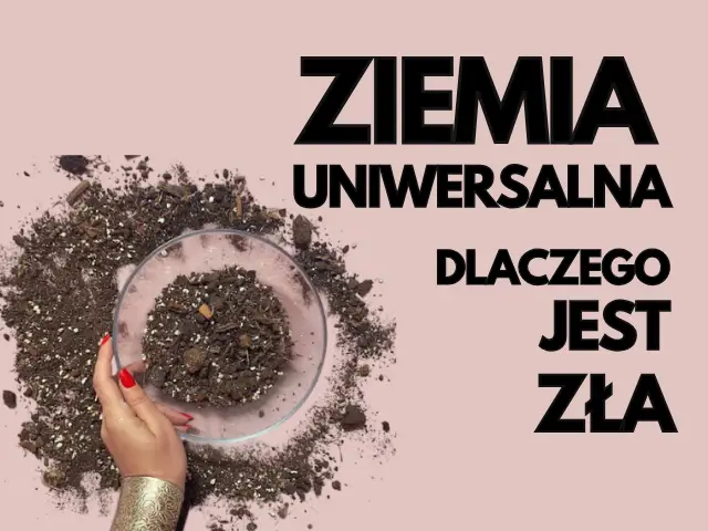 czy zienia uniwersalna jest dobra dla monstery