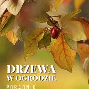 poradnik o drzewach w ogrodzie jak sadzić drzewa do małego ogrodu