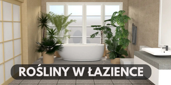 ROŚLINY W ŁAZIENCE JAK DBAĆ PIELĘGNOWAĆ