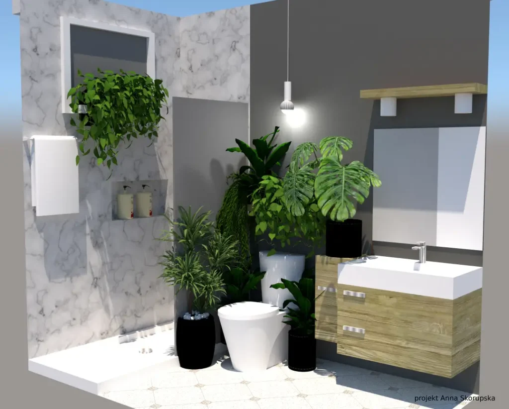 gdzie i jak postawić w łazience rośliny domowe doniczkowe