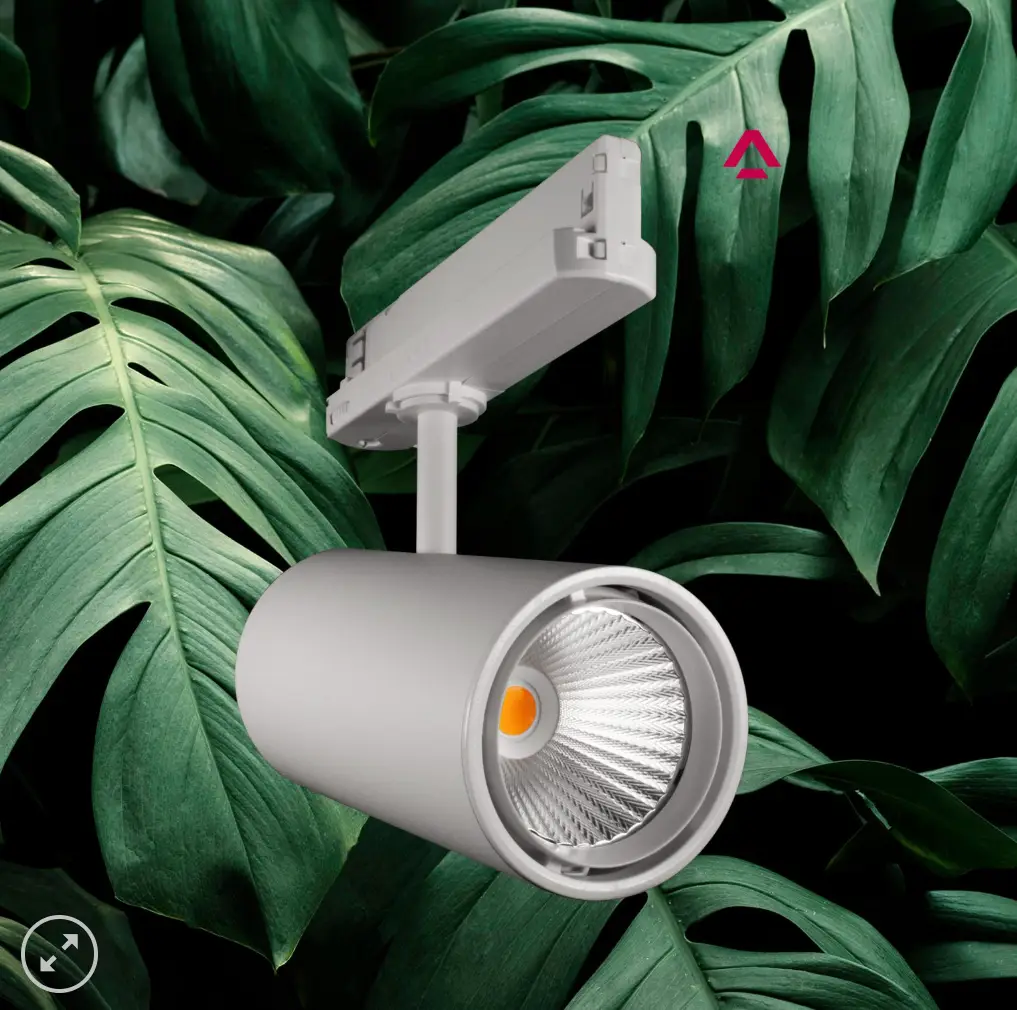 jaka lampa dla roślin najlepsza, którą żarówke wybrać