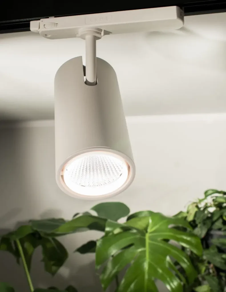 lampa żarówka do doświetlania roślin doniczkowych domowych