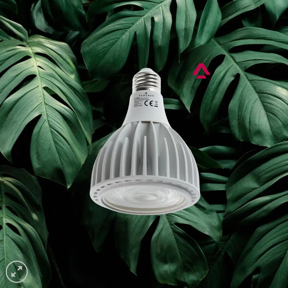 lampa żarówka do doświetlania roślin w domu