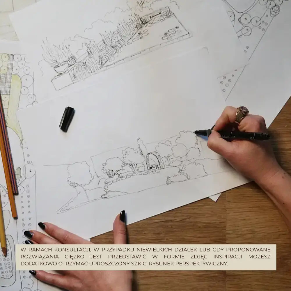 wizualizacja_ogrodu_szkic_rysunek_odręczny
