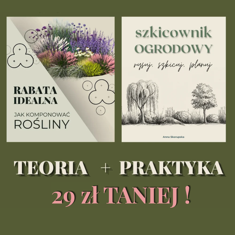 WYJĄTKOWY ZESTAW ! Teoria + Praktyka 29zł Taniej!