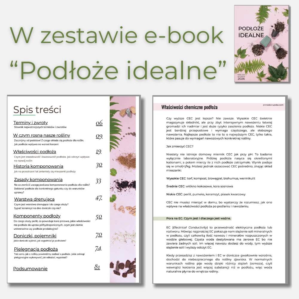 podłoze idealne jak dobierac ziemie podłoże dla roślin kwiatów domowych doniczkowych