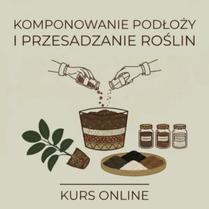 jak dobierać ziemię podłoże dla roślin w domu